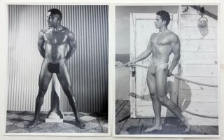 2 Vintage - Male Physique Photos - Bruce Of Los Angeles " 8 X 10 " Beefcake 5