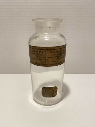 Antique 1890 Apothecary Jar W/ Label - Yerba Mate,  Paraguay Tea