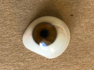 Wold War Wwii Hospital Vintage Antique Prosthetic Human Glass Eye Brown