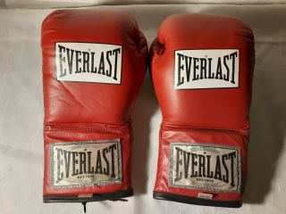 Vintage Everlast 10oz Fight Gloves