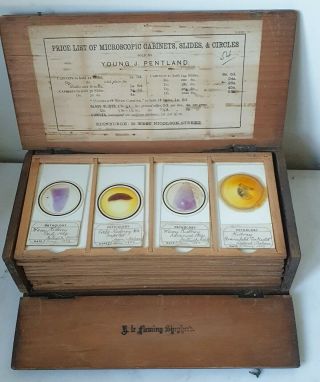 Scarce Set Of 56 Oversized Antique Path.  Microscope Slides By Young J.  Pentland