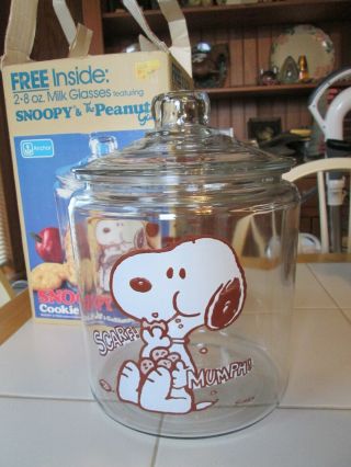 Vtg Peanuts Snoopy Glass Cookie Jar Anchor Hocking 1 Gal In Orig Box