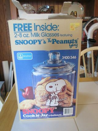 Vtg Peanuts Snoopy Glass Cookie Jar Anchor Hocking 1 Gal in Orig Box 3