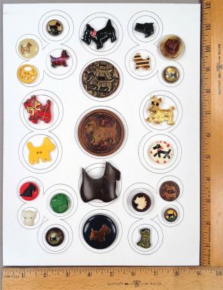Card Of 25 Antique Buttons,  Assorted Scottie Dogs,  Various Materials & Ages
