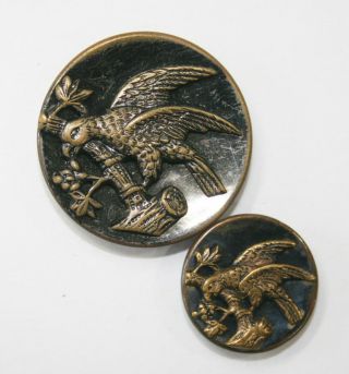Antique Victorian Mother/daughter Parrot On A Branch Brass Buttons