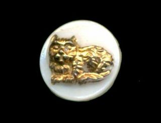 Vintage Glass Kiddie Button…gold Cat