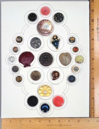 Card Of 25 Antique Buttons,  Assorted Shells,  Various Materials / Ages
