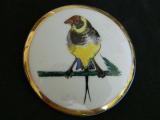 Antique/vtg Ceramic Button Hand Painted? Bird On A Branch Gilded Edge1&15/16
