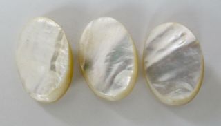 Three (3) Antique Or Vintage Large Oval Mother Of Pearl Mop Shell Buttons