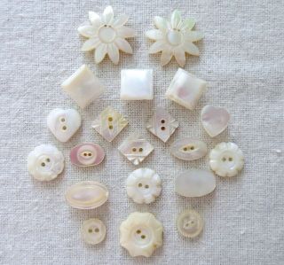 Antique Vintage Carved Mother Of Pearl Shell Buttons Round Oval Square Flowers