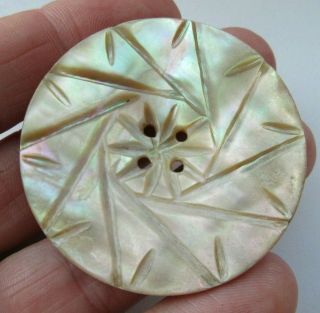 Gorgeous Xl Antique Vtg Carved Abalone Shell Button Unique Design 1 - 7/8 " (h)