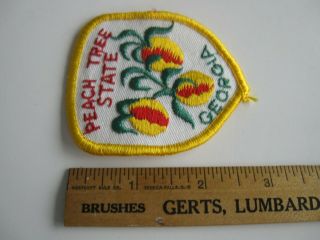 Vintage Georgia Peach Tree State Shield Cloth Patch Unsewn Bis