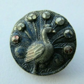 Delightful Antique Vtg Tinted Pewter Metal Picture Button Peacock Bird 5/8 " (k)