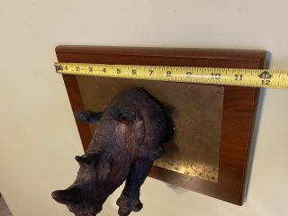 Vintage Wood Brass And Resin Rhino Wall Hanging Sculpture 1960s 3