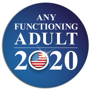 Any Functioning Adult 2020 4 " Decal/sticker - Funny Political Bumper