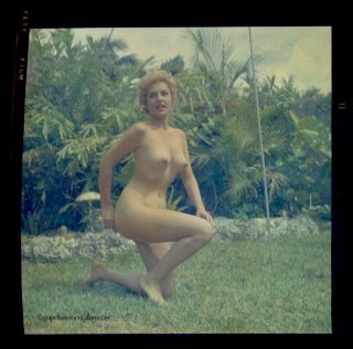 Bunny Yeager 1960s Color Camera Transparency Negative Nude Pretty Blonde Model 2