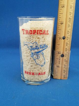 Tropical Beer And Ale Shell Glass Florida Fl