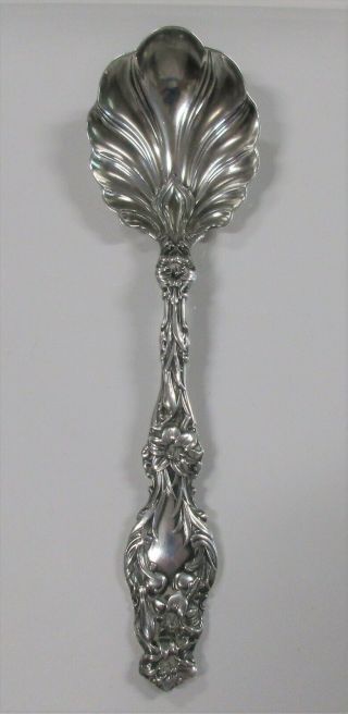 Lily 1902 By Whiting Sterling Silver Sugar Spoon Shell No Mono