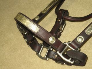 Vintage Brown Horse Sz Western Show Halter Rope Edge Mexico Silver