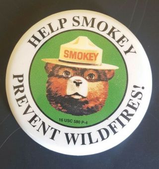 Smokey The Bear Pinback Prevent Wildfires Pin Collectible Help Smokey