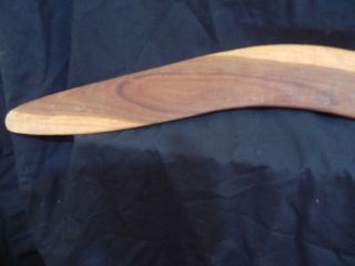 Vintage Aboriginal Boomerang - Mulga Wood - Great Sandy Desert - Unique 3