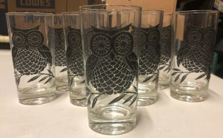 Set Of 8 Vintage Mid Century Owl Embossed Drinking Glasses 5 3/4 X 2 3/4