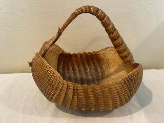 Vintage Authentic Armadillo Basket With Tail Handle Taxidermy Unique