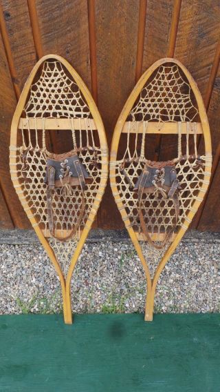 Vintage Snowshoes 41 " Long By 14 " Wide Have Leather Bindings Ready To Use