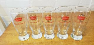 Vintage Schaefer Lager Beer Glasses Set Of 5 10oz