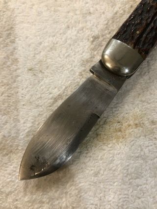 Rare Gazelle Krusius Solingen Vintage 3 Blade Whittler Bone Handle Pocket Knife 3