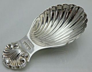 Vintage Solid Sterling Silver Shell Shaped Tea Caddy Spoon (osy)