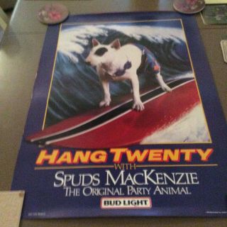 Vintage Spuds Mackenzie Poster (hang Twenty)