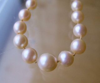 Charming,  Long,  Vintage,  Real Pearl Necklace With 9ct Gold Engraved Catch