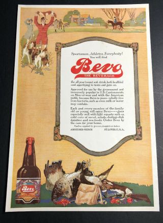 Rare 1910’s Bevo Anheuser Busch Beer Ad Sign Fox Hound Hunting Budweiser Prepro