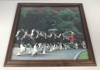 1933 - 83 Vintage Budweiser Clydesdales 50th Anniversary Framed Poster 19x19 " Rare