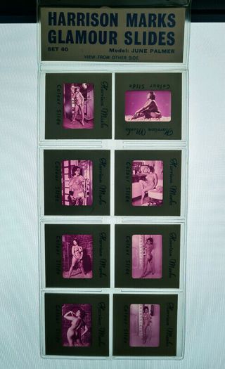 Harrison Marks Vintage Nude Colour Glamour Slide Set - June Palmer