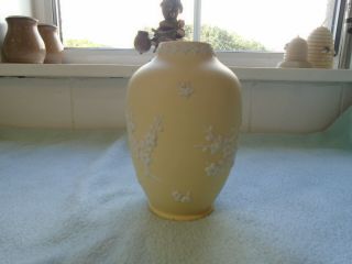 Vintage Wedgewood Yellow Jasperware Prunus Rose Vase 1979