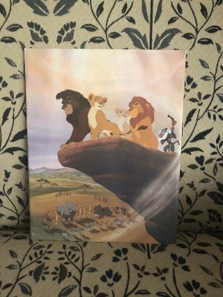 Walt Disney - The Lion King 2 Simba 