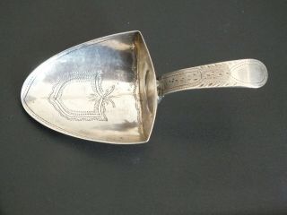 Rare Shape Antique Georgian Solid Silver Tea Caddy Spoon - T Whitehead - 1820