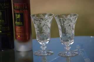 Vintage Needle Etched Wine Cordials,  Set Of 5,  Tiffin Franciscan,  Fuchsia 4 Oz