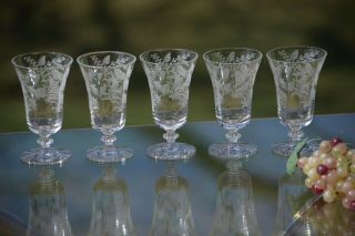 Vintage Needle Etched Wine Cordials,  Set of 5,  Tiffin Franciscan,  Fuchsia 4 oz 2