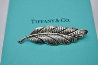 Vintage Tiffany & Co.  Sterling Silver Leaf Brooch W/ Box