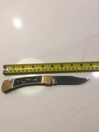 Buck Knife Limited Edition Lock Blade