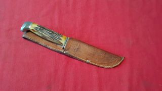 Vintage Case Xx 523 - 6 Stag Handle Hunting Knife