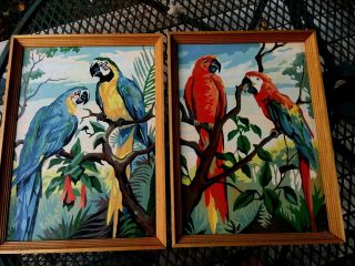2 Vintage Paint By Number Picture Parrots Birds 11 X15