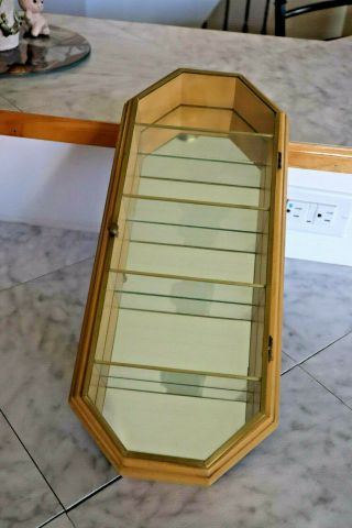 Vintage Studio Craft Glass Curio Display Wall Cabinet Mirrored 7.  5w X 18h
