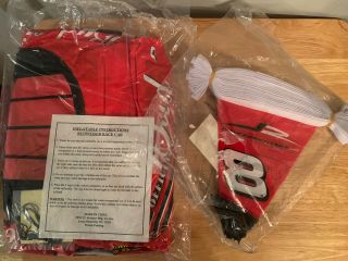 Dale Earnhardt Jr Inflatable 8 Budweiser Car Beer Store Sign Tailgate Flags 2