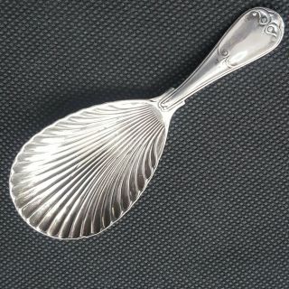 Antique Victorian Sterling Silver Tea Caddy Spoon Scallop Shape 1897