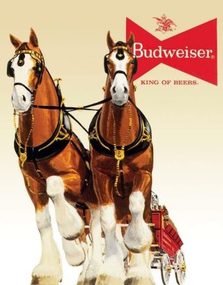 Budweiser Clydesdale Horse Team Vintage Retro Tin Metal Sign 13 X 16in