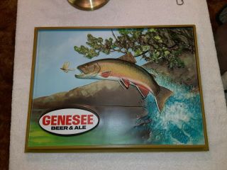 1983 Genesee The Great Outdoors In A Glass Plastic Sign Peter Corbin